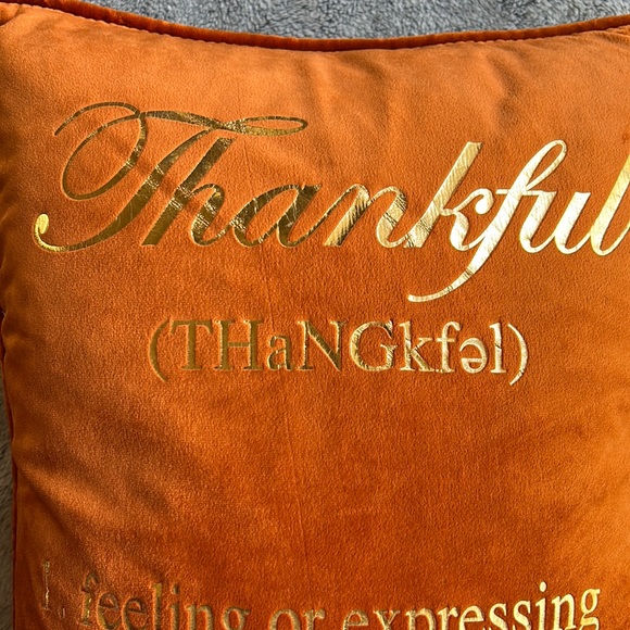 NWOT🌟THANKFUL 18 x 14” Burnt Orange Feather Inspirational Pillow - Picture 7 of 7